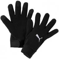 Рукавички Puma TEAMLIGA 21 WINTER GLOVES 04170601 р. S чорний