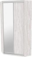 Шкаф-купе виват ВУ 1100 ДОМ ДСП 110x60x240 мм аляска двери / зеркало / ДСП