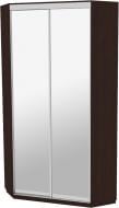 Шкаф-купе виват ВУ 1200 ДОМ ДСП 120x60x240 мм венге двери / зеркало Шкаф-купе виват ВУ 1200 ДОМ ДСП 120x60x240 мм венге двери / зеркало