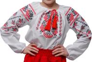 Блуза Сварга Калина р.146 красный SV-CFE0007-0424-02028-146