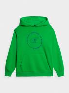 Джемпер 4F SWEATSHIRT M1090 4FJRAW23TSWSM1090-41S зеленый