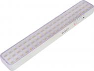 Светильник аварийный E.NEXT e.emerg.stand.9860K.led.3/6h.IP20 3,6 Вт 60 LED белый l0680002