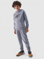 Брюки 4F TROUSERS CAS M591 4FJWSS24TTROM591-34S р. 152 голубой
