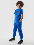 Брюки 4F TROUSERS CAS M591 4FJWSS24TTROM591-36S р. 134 синий