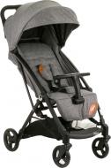 Коляска прогулочная Babyhit Nano Roma grey