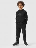 Брюки 4F TROUSERS CAS M591 4FJWSS24TTROM591-20S р. 134 черный