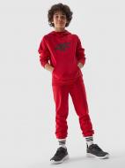 Брюки 4F TROUSERS CAS M591 4FJWSS24TTROM591-62S р. 152 красный