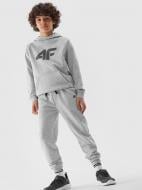 Брюки 4F TROUSERS CAS M591 4FJWSS24TTROM591-27M р. 128 серый