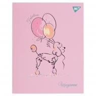 Щоденник шкільний інтегральний Fabulous YES