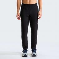Брюки THE NORTH FACE M 24/7 WOVEN JOGGER NF0A8FJHJK31 р. S черный