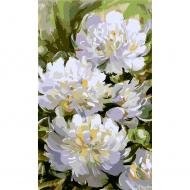 Картина по номерам Белые пионы 30x50 см Santi