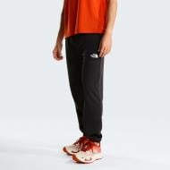 Брюки THE NORTH FACE M REAXION 2.0 JOGGER NF0A8DRSKS71 р. L черный