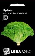 Насіння LedaAgro салат Кріска напівголовчастий 30 шт. (4820119797983)