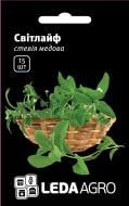 Насіння LedaAgro стевія Світлайф 15 шт. (4820119793183)
