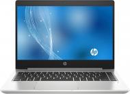 Ноутбук HP ProBook 445 G7 14 (7RX16AV_V2) silver