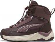 Ботинки Puma Evolve 2.0 Boot PS 31380902 р.33 бордовый