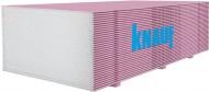 Гипсокартон огнеупорный (*цена от 30 листов) Knauf 2500x1200х12,5 мм 3 кв. м
