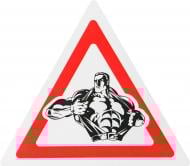 Наліпка TERRAPLUS Мачо