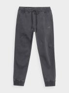 Брюки 4F TROUSERS CAS M567 4FSS23TTROM567-22S р. 2XL серый