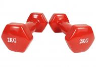Гантель EasyFit EF-0020-R для фітнесу із вініловим покриттям 2 кг 2 шт червоний
