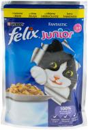Корм Felix Junior Fantastic с курицей в желе 100 г курица 100 г Корм Felix Junior Fantastic с курицей в желе 100 г курица 100 г