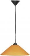 Подвес Eglo UPPSALA 1xE27 оранжевый 7422