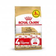 Набор корма Royal Canin Poodle пауч 4х85г + 1,5 кг