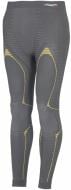 Термобрюки Accapi X-Country ACC А603.966 р.XL/XXL серый