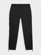 Брюки 4F TROUSERS CAS M612 4FRSS23TTROM612-20S р. S черный