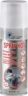 Спрей розігріваючий HTA HTA Spray Hot 200 ml Швидкодіючий розігріваючий спрей HTA Spray Hot 200 ml