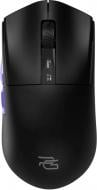 Мышь Proove Gaming Jester 8K black (WMJS00022001)
