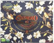 Шоколадні цукерки Chocolate Organiko асорті з фундуковим праліне 120 г (T3617)