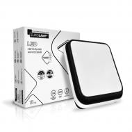 Светильник светодиодный Eurolamp квадрат A51 18 Вт белый 3000-6500 К LED-ALS-18-A51(black)