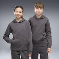 Джемпер Puma ESS ELEVATED HOODIE FL 69470134 р.152 серый Джемпер Puma ESS ELEVATED HOODIE FL 69470134 р.152 серый