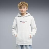 Джемпер Puma CLASS Graphic Hoodie FL B 69481605 р.152 серый Джемпер Puma CLASS Graphic Hoodie FL B 69481605 р.152 серый