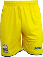 Шорты Joma F.F. UKRAINE FFU105011.18 р. L желтый