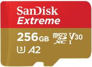 Карта памяти SanDisk microSDXC 256 ГБ UHS-I (SDSQXAV-256G-GN6MA)