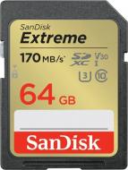 Карта памяти SanDisk SD 64 ГБ UHS-IClass 10 (SDSDXV2-064G-GNCIN)