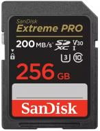 Карта памяти SanDisk SDXC 256 ГБ UHS-IClass 10 (SDSDXXD-256G-GN4IN)