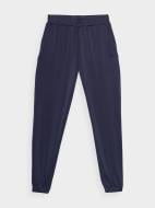 Брюки 4F TROUSERS CAS F526 4FSS23TTROF526-30S р. S фиолетовый Брюки 4F TROUSERS CAS F526 4FSS23TTROF526-30S р. S фиолетовый