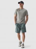 Шорты 4F SHORTS CAS M330 4FWSS24TSHOM330-43S р. S зеленый