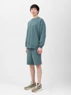 Шорты 4F SHORTS CAS M342 4FWSS24TSHOM342-44S р. S зеленый Шорты 4F SHORTS CAS M342 4FWSS24TSHOM342-44S р. S зеленый