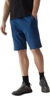 Шорти 4F SHORTS CAS M284 4FWSS24TSHOM284-32S р. 2XL блакитний
