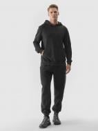 Брюки 4F TROUSERS CAS M653 4FWSS24TTROM653-20S р. 2XL черный Брюки 4F TROUSERS CAS M653 4FWSS24TTROM653-20S р. 2XL черный