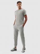 Брюки 4F TROUSERS CAS M645 4FWSS24TTROM645-25S р. S серый Брюки 4F TROUSERS CAS M645 4FWSS24TTROM645-25S р. S серый
