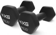 Гантели цельные 4fizjo P-5907739312792 2 x 4 кг черный