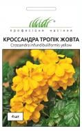 Семена Професійне насіння кроссандра Тропик желтая 4 шт. (4823058202921)