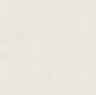 Шпалери вінілові на флізеліновій основі A.S. Creation AMBER 39597-3 1,06x10,05 м