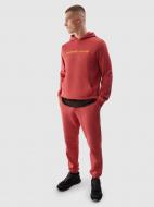 Брюки 4F TROUSERS CAS M648 4FWSS24TTROM648-63S р. S красный