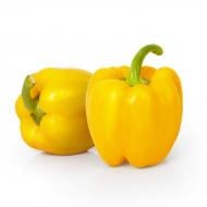 Насіння Професійне насіння перець Асті єллоу 0,2 г (4820176690128)